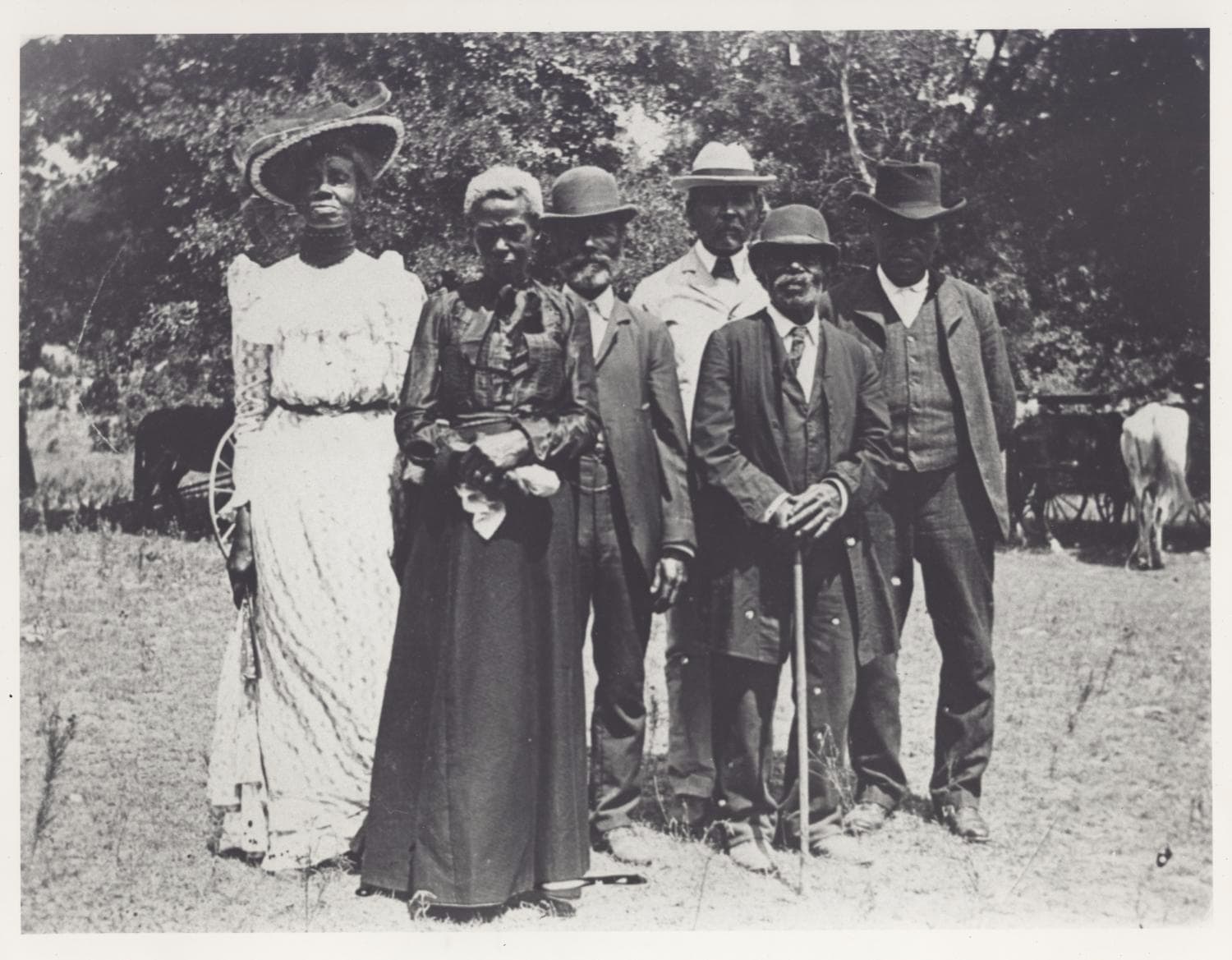 Emancipation Day celebration in Austin, Texas, June 19, 1900 — the historic photograph that inspired modern Juneteenth imagery